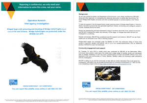 130 Wedge-Tailed Eagles Poisoned!